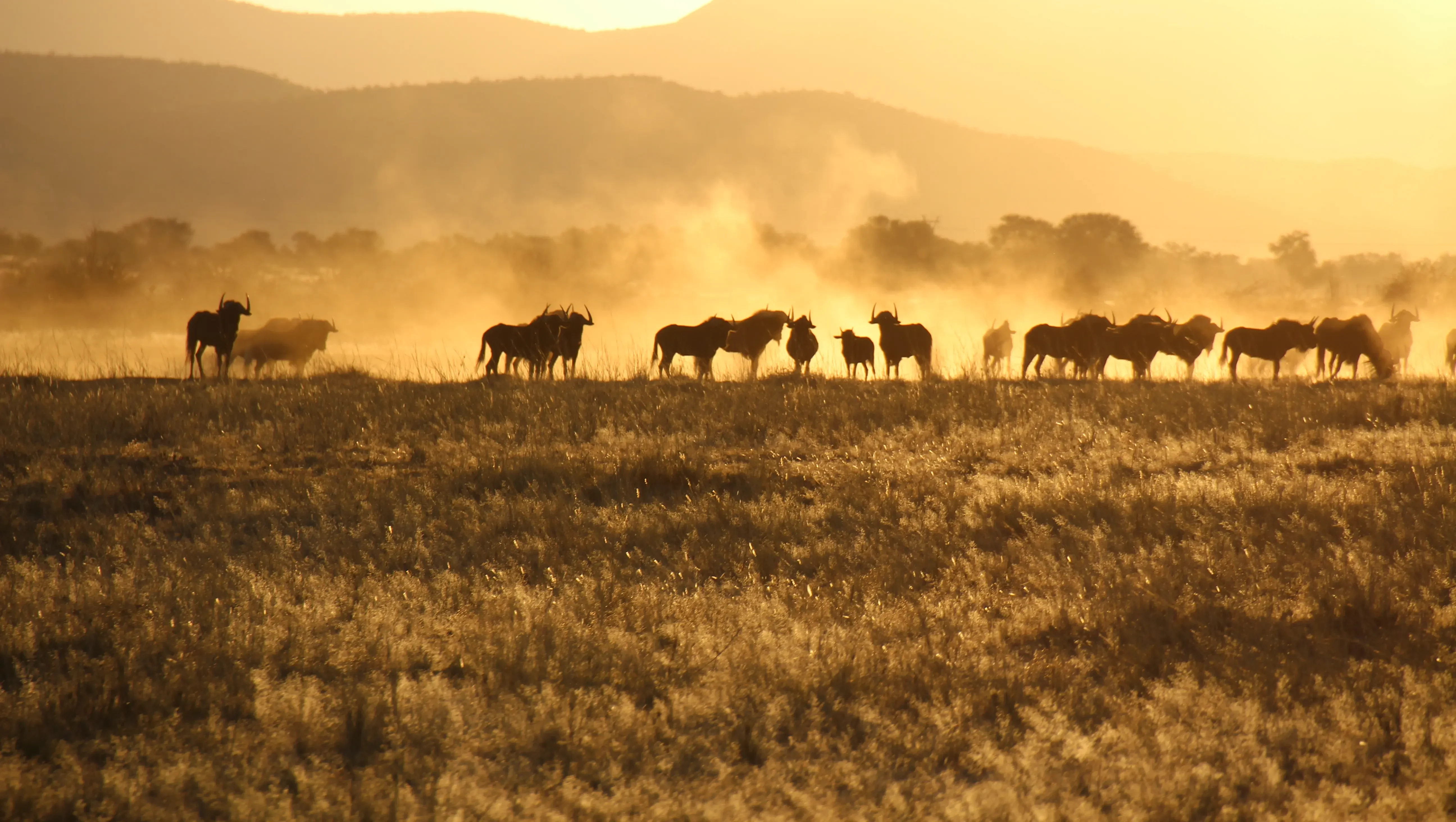 Namibia Gruppenreise