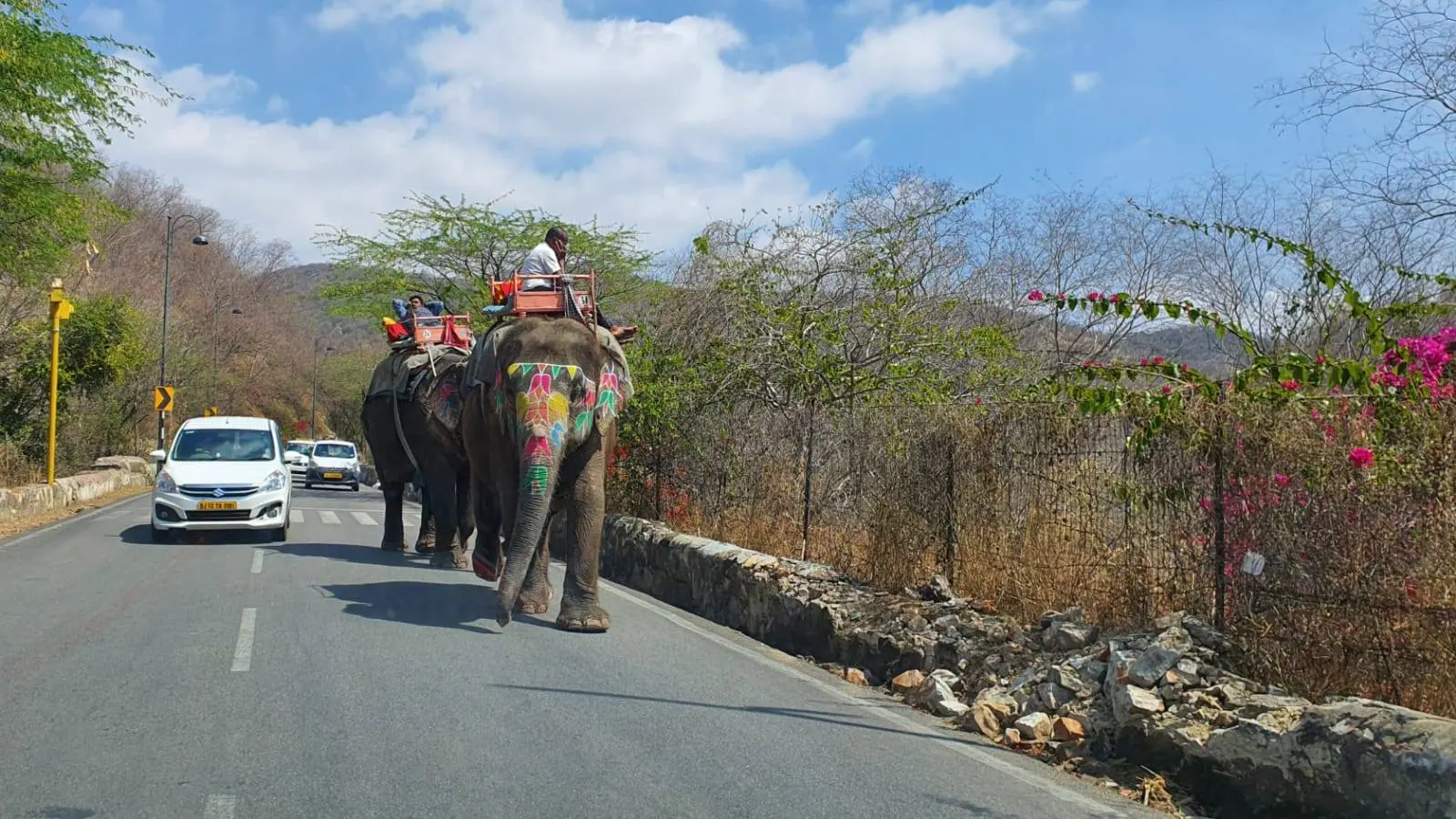 Indien - Rajasthan